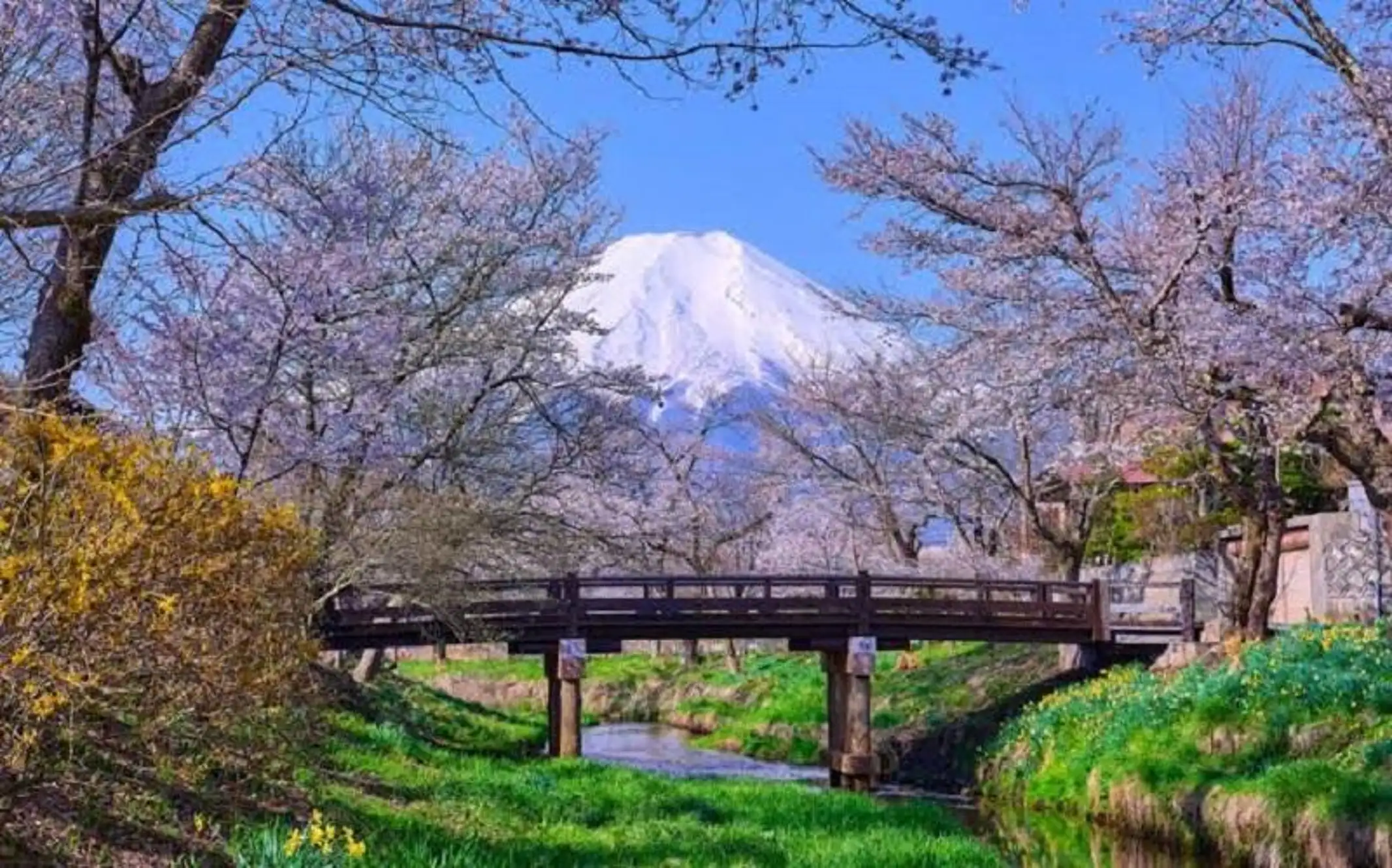 Tokyo: Private Mt Fuji Tour, Kimono & Craft Experience