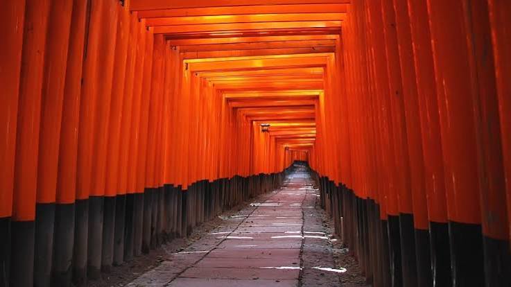 Kyoto & Nara: Fushimi Inari, Arashiyama & Sacred Deer