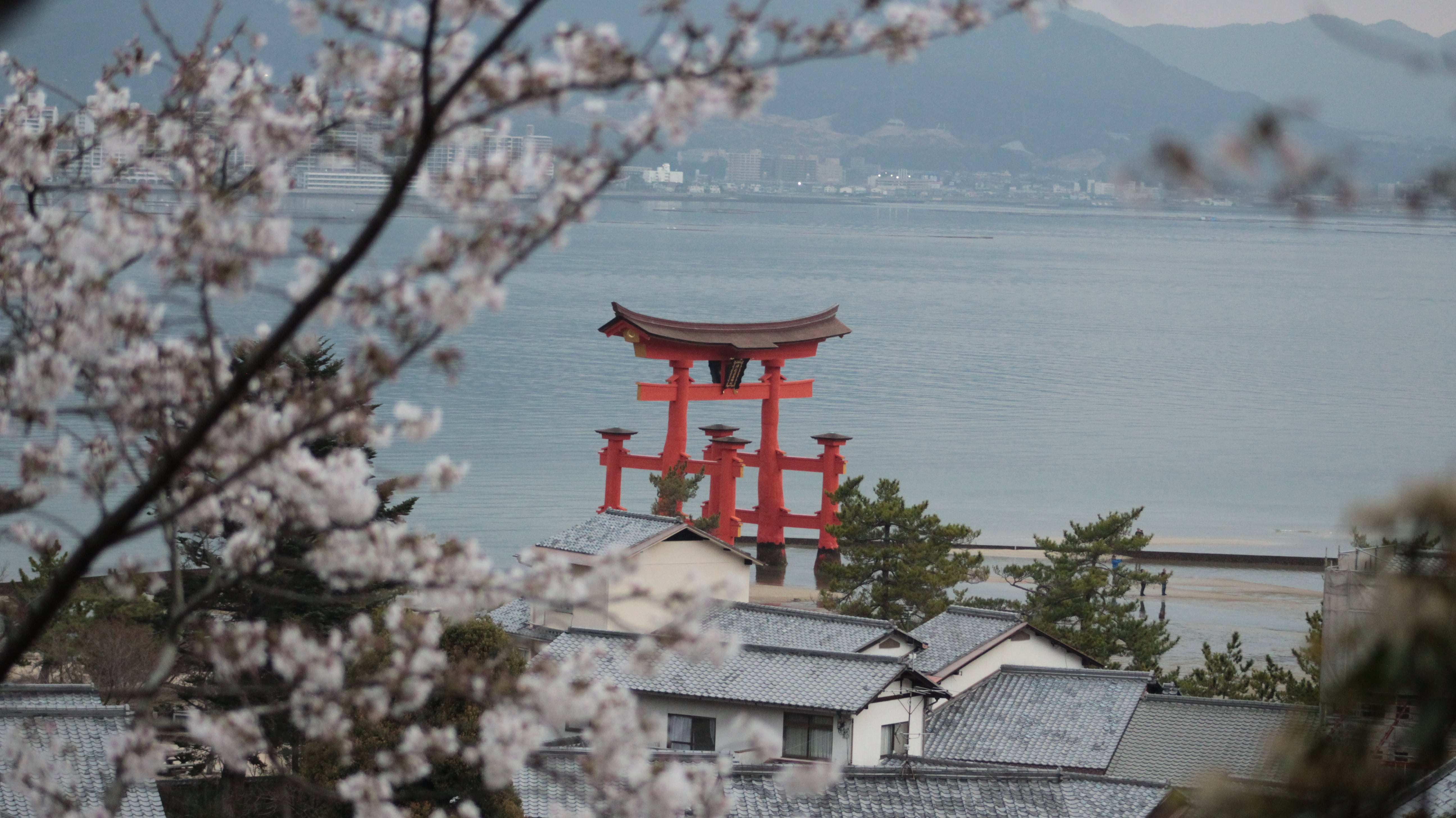 Hiroshima & Miyajima Island Private Guided Tour