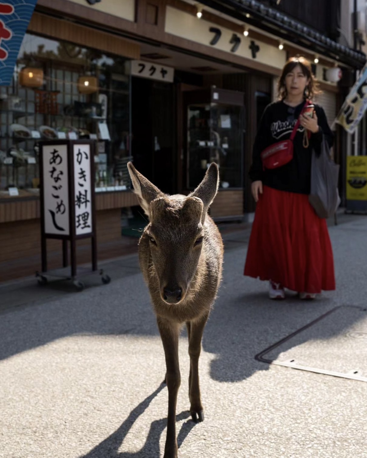 Hiroshima & Miyajima Island Private Guided Tour