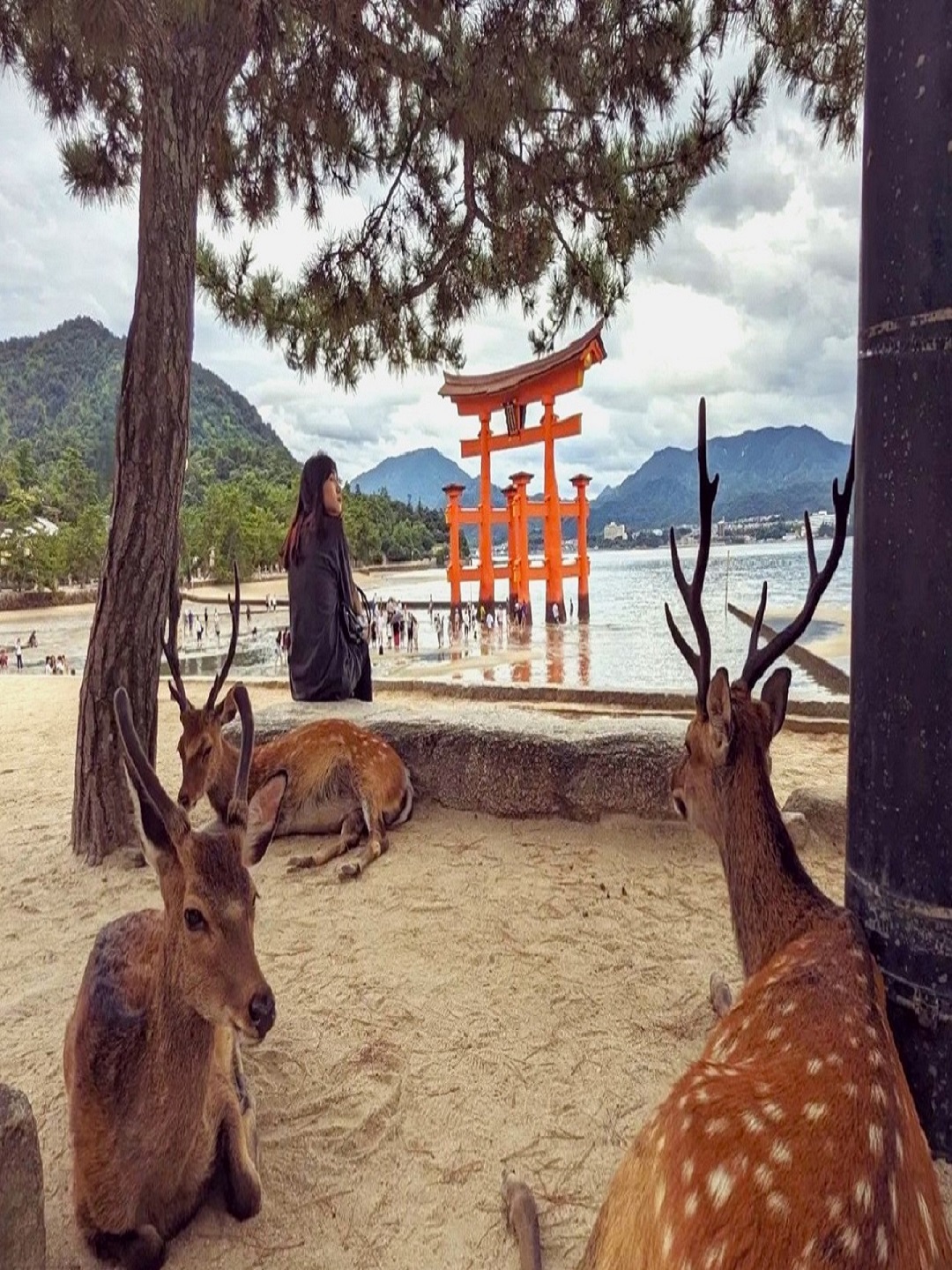 Hiroshima & Miyajima Island Private Guided Tour