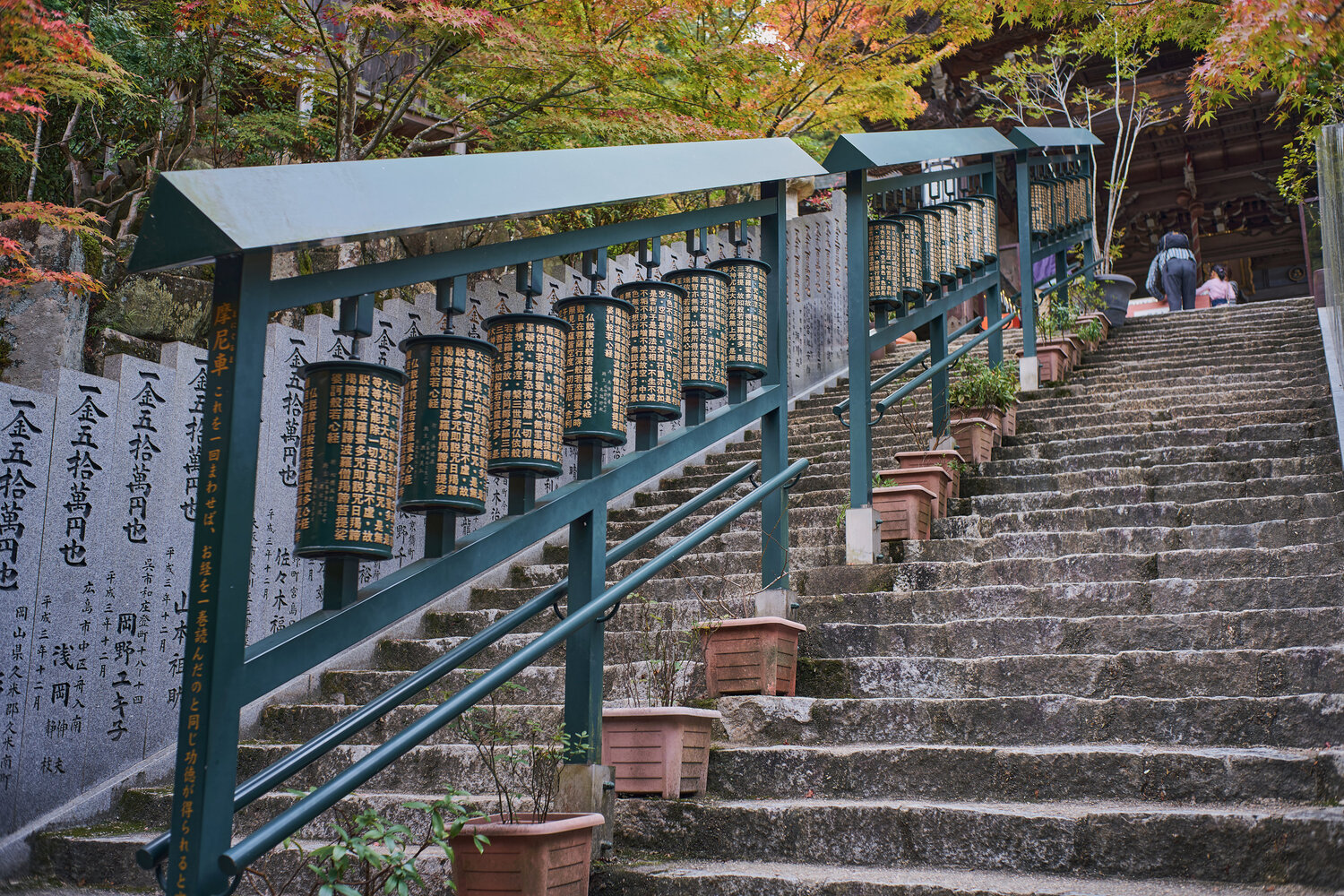 Hiroshima & Miyajima Island Private Guided Tour